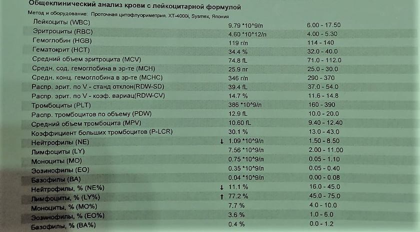 ПОСМОТРИТЕ АНАЛИЗ