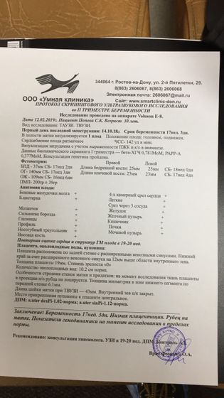 Результаты экспертного УЗИ 🤔