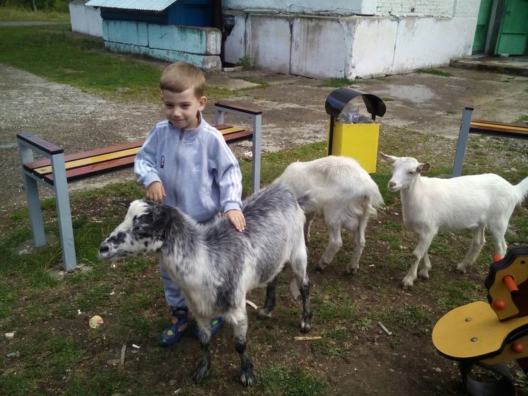 Воспоминания о лете.