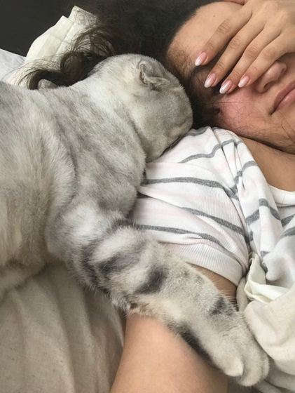 Вот такая любовь у кота)))