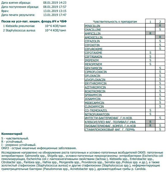 Klebsiella и Staphilococcus aureus