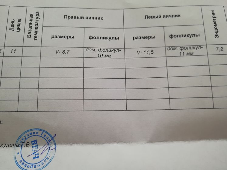 Когда ждать?))