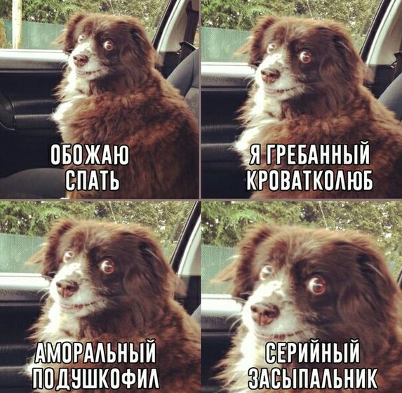 Всем приятного вечера?????