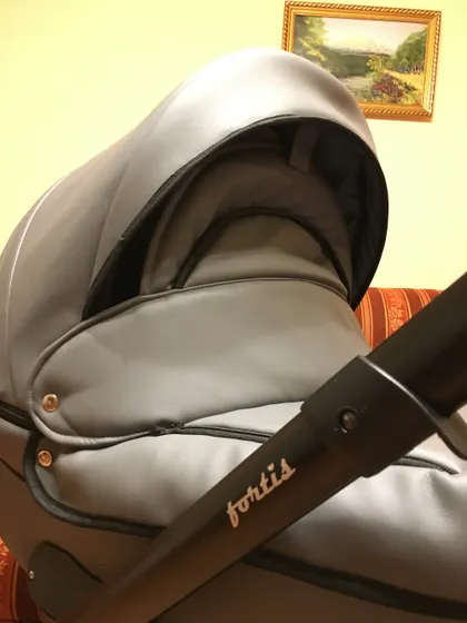 Коляска Peppy Fortis 2 в 1 Отзыв