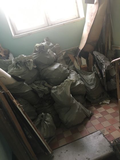 Начали гнездование