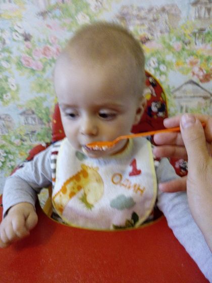 Тестирование детского питания Gerber