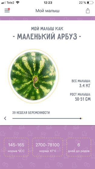 🍉🍉🍉