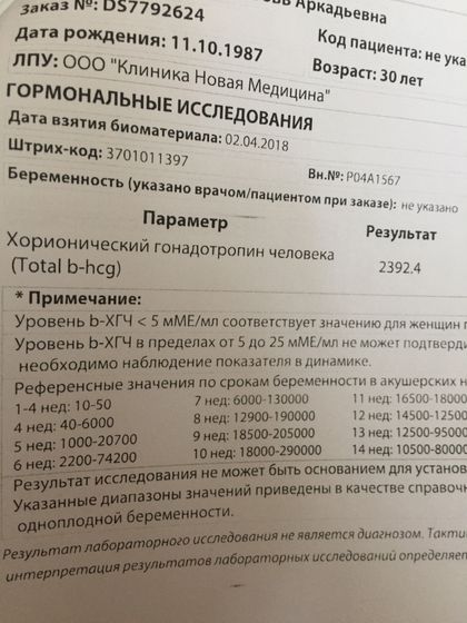 19дпп