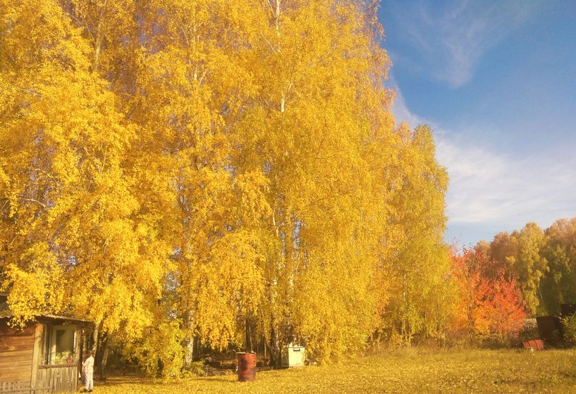 Золотая осень