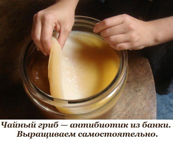 #Р_е_ц_е_п_т