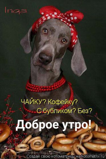 Пол ребенка