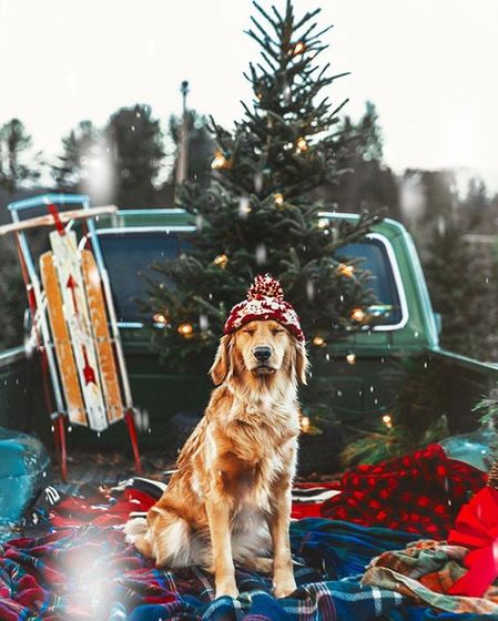 Новогодние вдохновители!