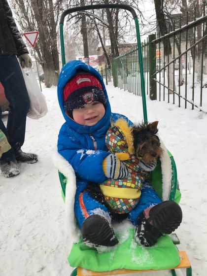Вот и дождались снега
