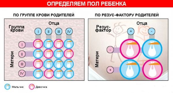 Пол Ребенка. Статья.А пол вашего ребенка?