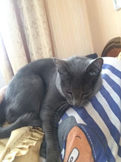 День обнимашек)))