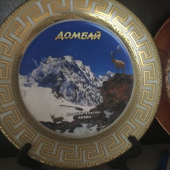 Ростов где можно купить