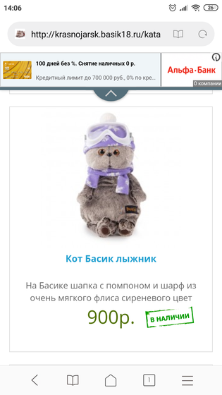 Девочки Красноярск! Кот Басик.