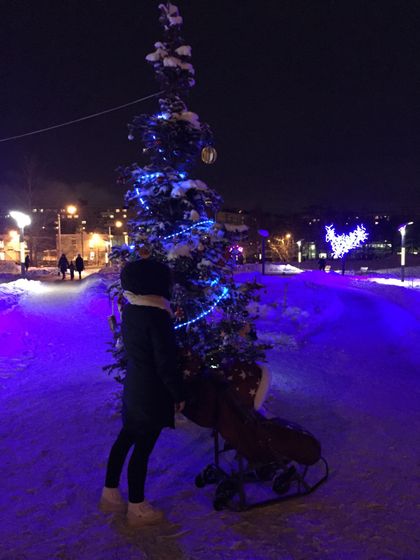 Наши дела☀️🎄