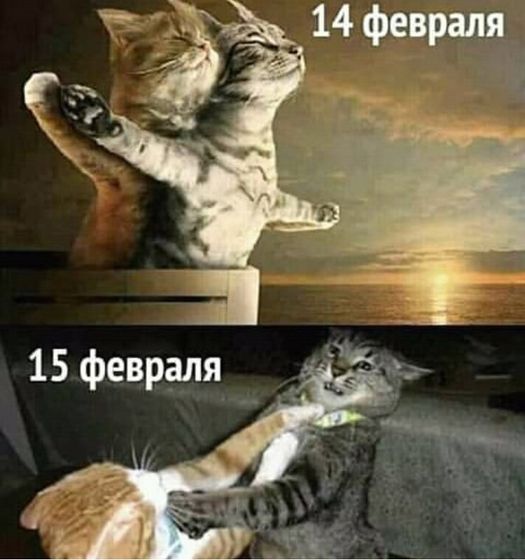 ??? у кого так?