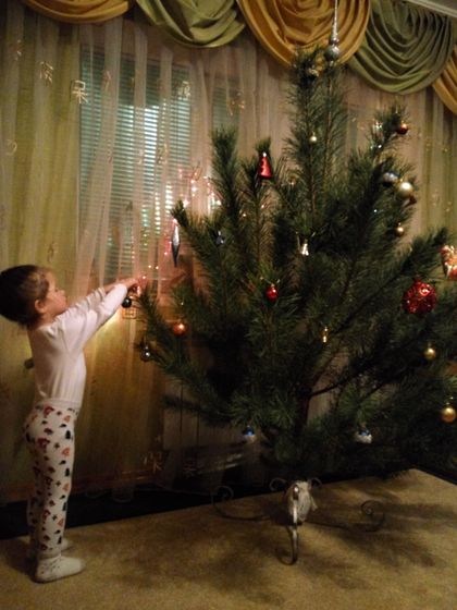 Елка🎄