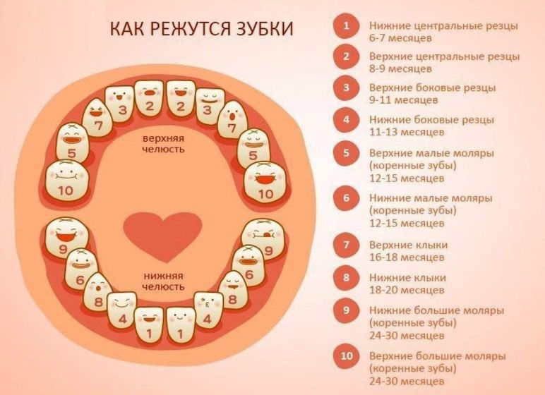 Зубы?