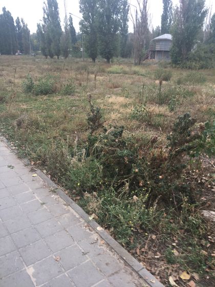 Набережная Таганрог ?