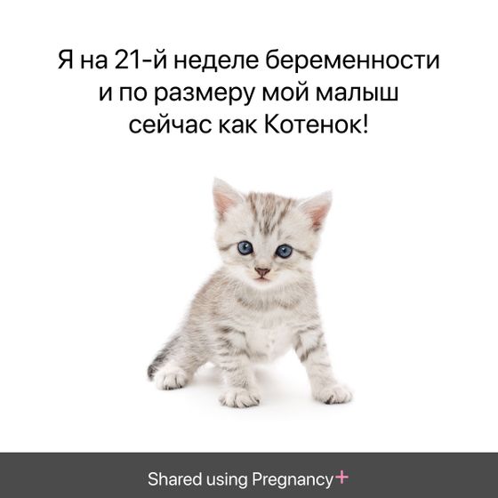 21 неделька