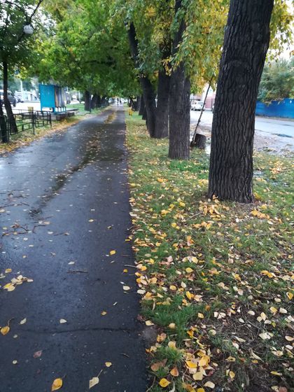 Краски осени.