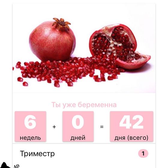 Календарь беременности или просто похвастаться