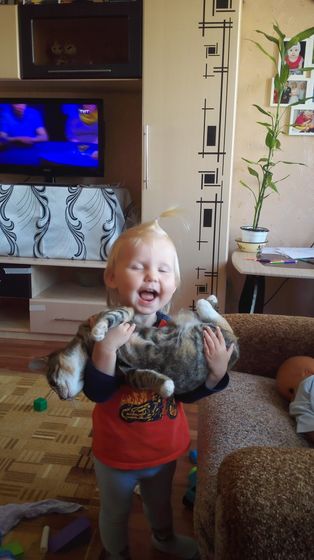 Любовь к кошкам?