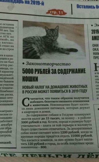 Налог на домашних животных??