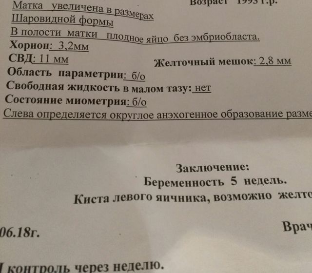 Девочки беременность 6 недель