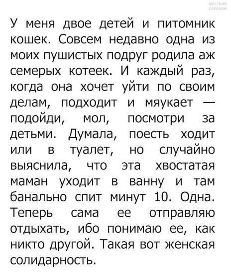 Минутка юмора