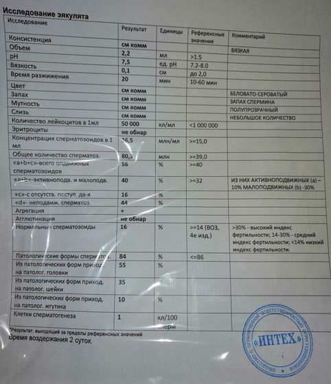 УЗИ на 10 ДЦ Помогите разобраться)
