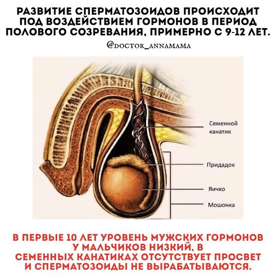 Мамам мальчиков на заметку.