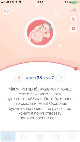 Уже 39 недель, как
