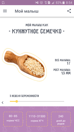 Да здравствует токсикоз