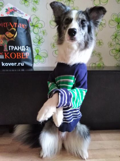 Ни о чем:)