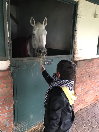 Лошадки 🐴😍🙏