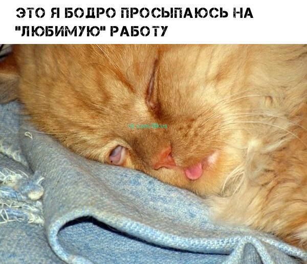 Всем приятного вечера?????
