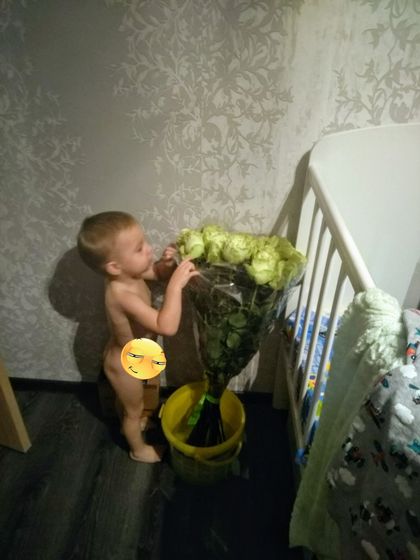 2 годика моему миру
