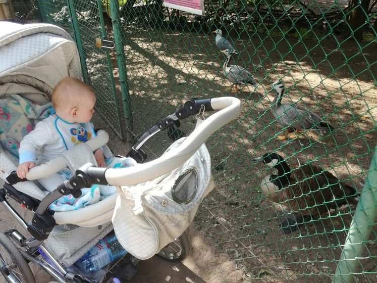 Конкурс