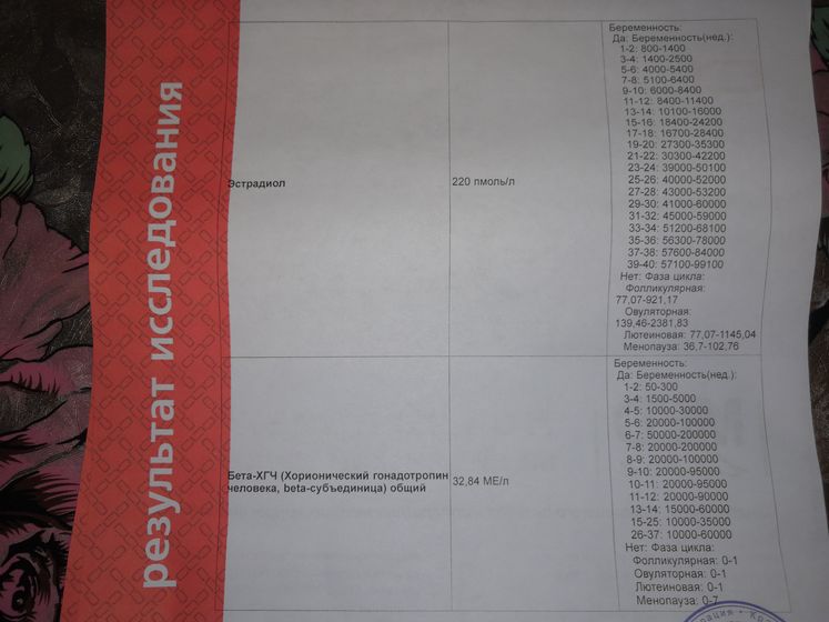 Мои размышления