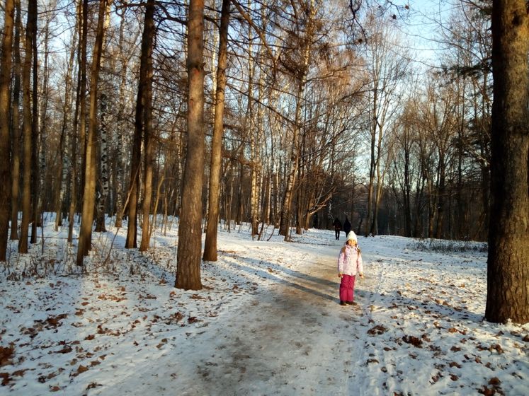 "Лепилка" в Кузьминках