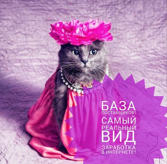 Девочки заработок в интернете