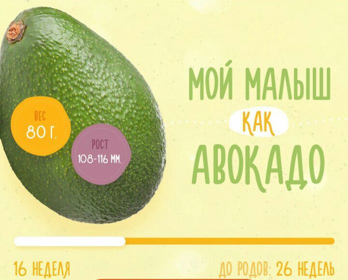 15 недель вместе???