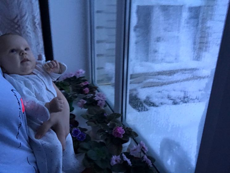 Пока мы спали,до нас наконец-то снег доехал❄️