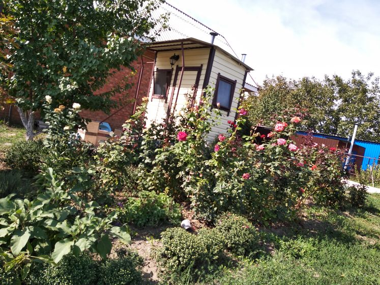Осень что ли