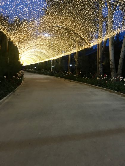 Погуляли