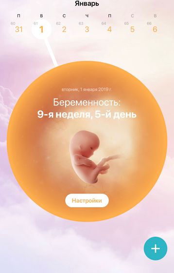 Как посчитать срок беременности